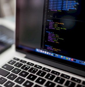 Survey Script Writing